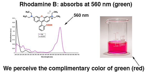 relationship between lambda max and perceived color the color is the complimentary color of wavelength of light absorbed green absorption means red color