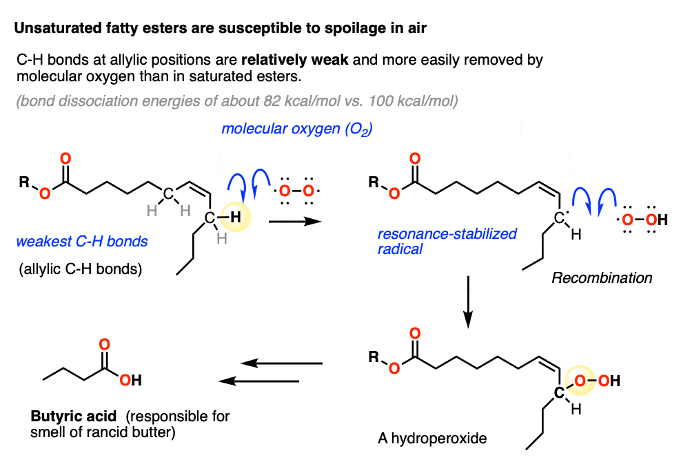 unsaturated fats can undergo air oxidation through removal of allylic hydrogen by molecular oxygen to give rancid byproducts such as butyric acid