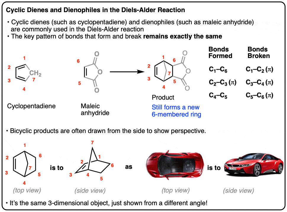 Summary-cyclic dienes and dienophiles in the diels alder cyclopentadiene and maleic anhydride