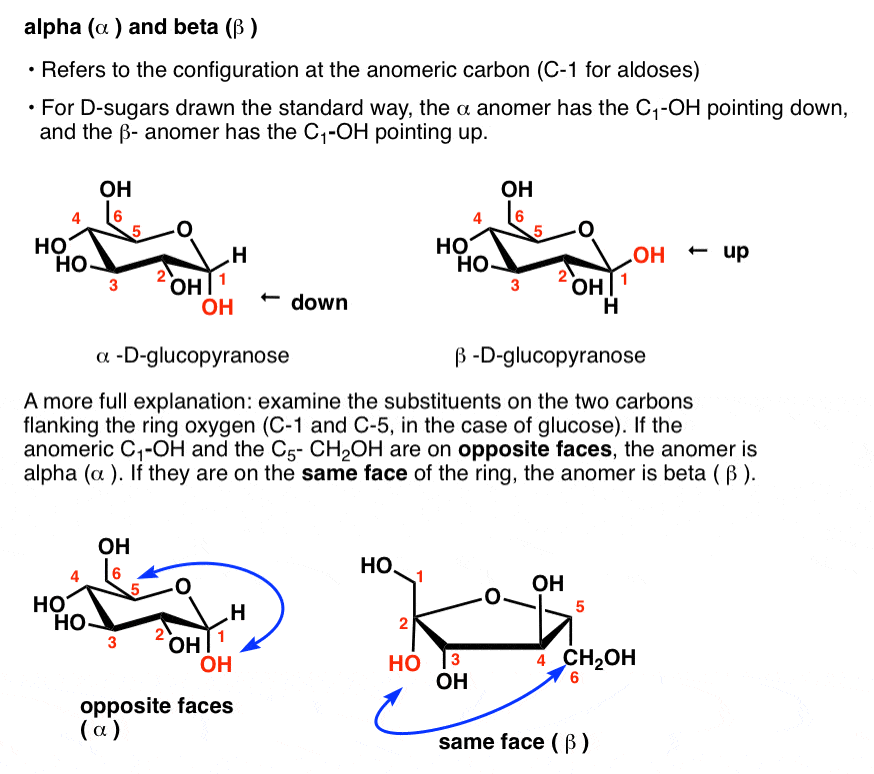 definition-of-alpha-and-beta-sugars-shows-configuration-of-anomeric-carbon