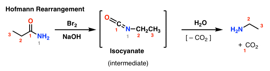 example of the hofmann elimination of amides with bromine and base