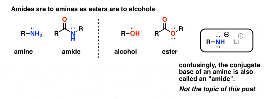 relationship between amines and amides vs alcohols and esters