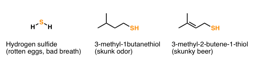 thiols are associated with bad smells such as rotten eggs hydrogen sulfide skunk odor 3 methyl 1butane thiol and skunky beer