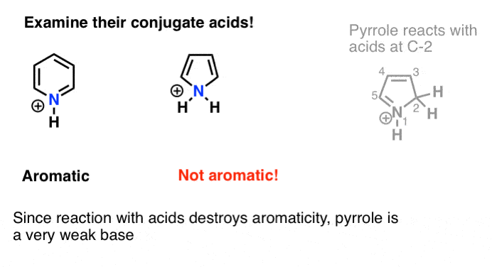 to understand basicity strength examine acidity of conjugate acid pyrrole is poor base