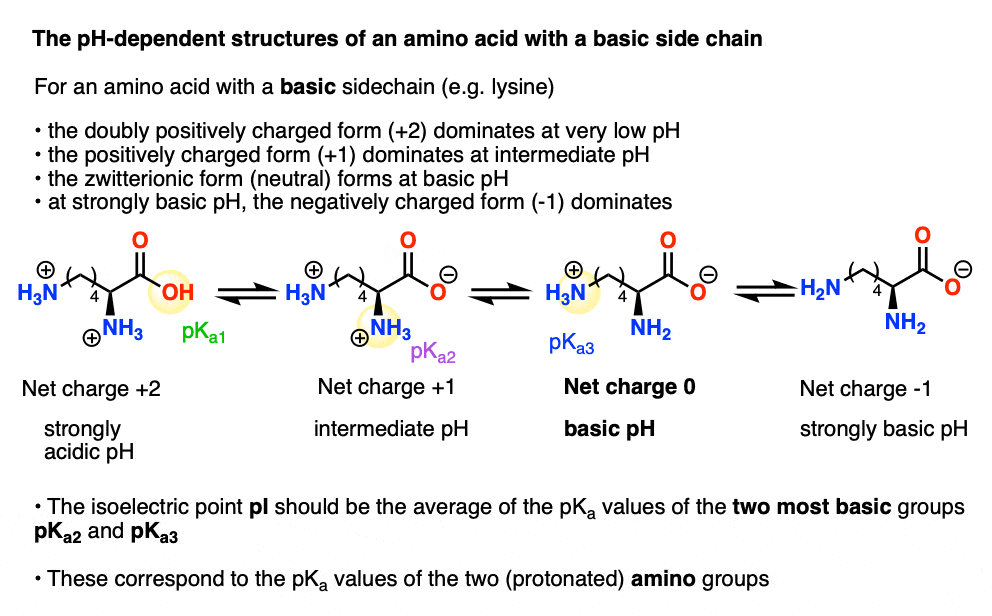 ph dependent structures of amino acid with basic sidechain - to obtain pI average the two highest pKa values