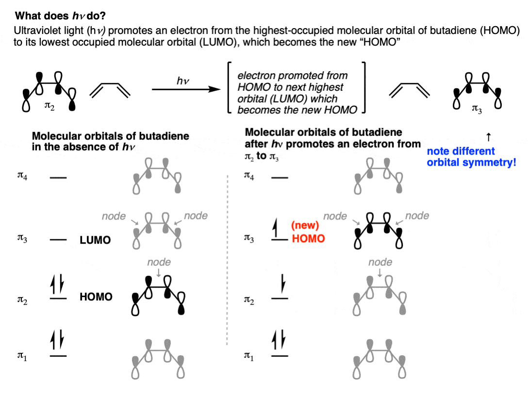 pi orbitals of butadiene homo thermal and photochemical conditions