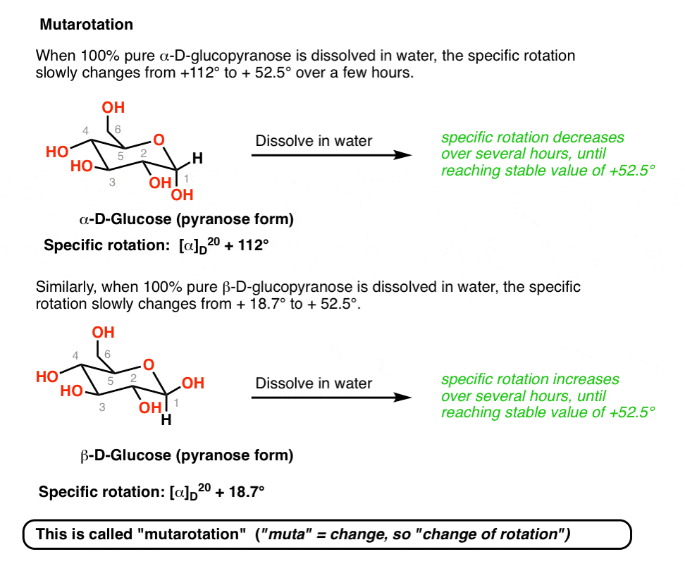 mutarotation-100-per-cent-pure-alpha-glucopyranose-dissolved-in-water-optical-rotation-changes