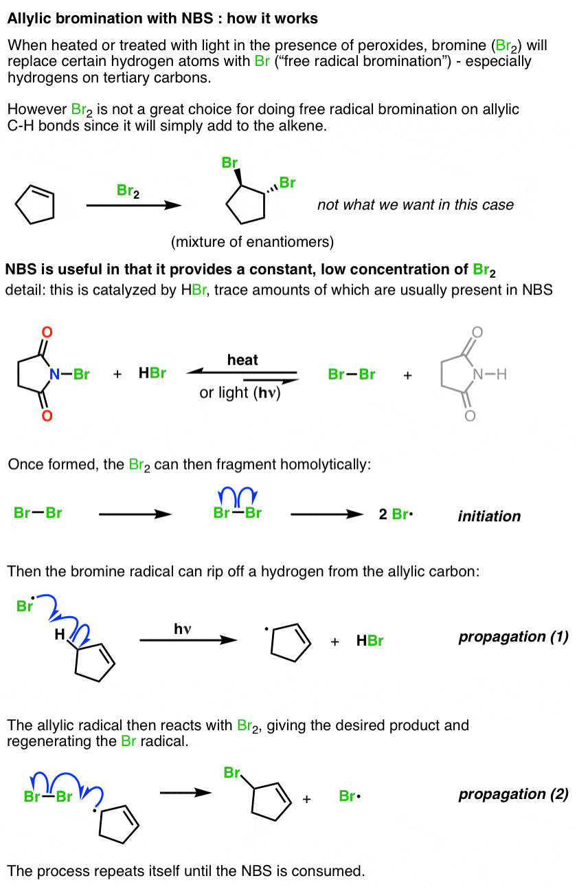 allylic-bromination-with-nbs-how-it-works