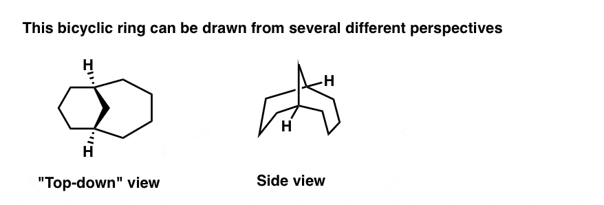 drawing-of-bicyclic-ring-from-various-perspectives