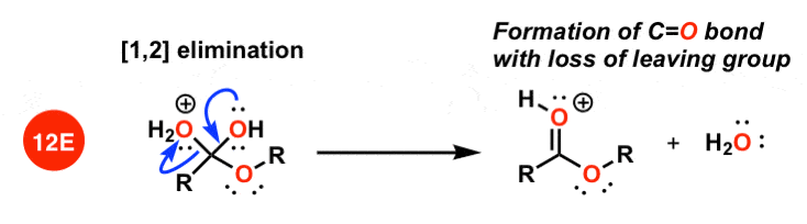 12 elimination is the 4th step of padped mechanism