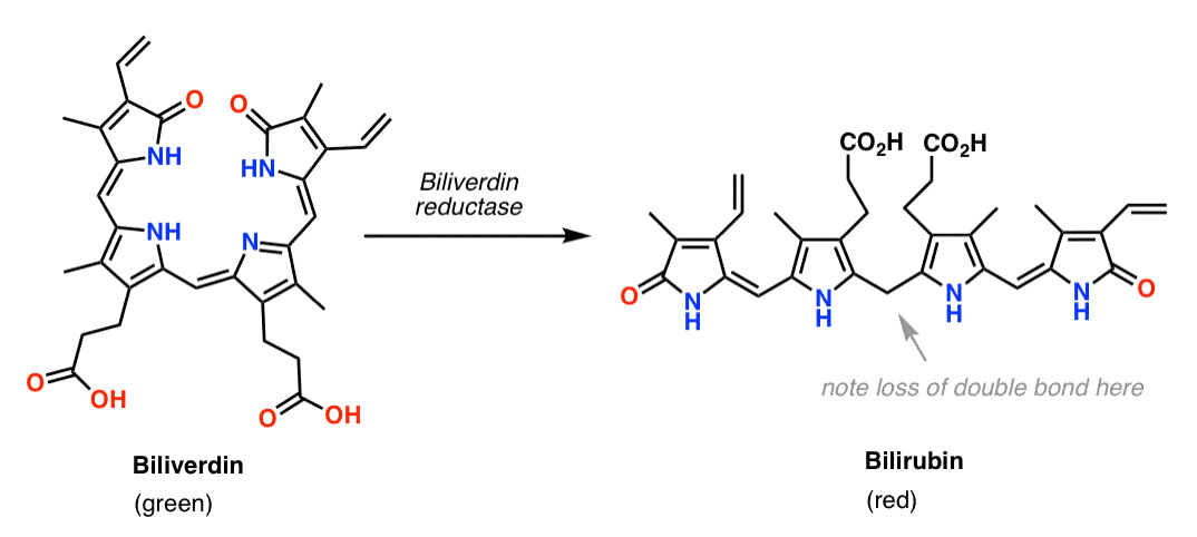 -biliverdin-to-bilirubin