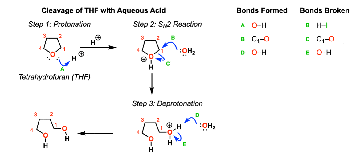 cleavage of cyclic ether thf with strong aqueous acid gives 1 4 butane diol