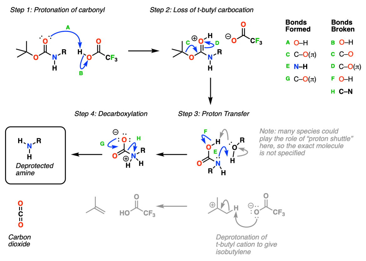 mechanism for deprotection of t-boc group by addition of trifluoroacetic acid tfa