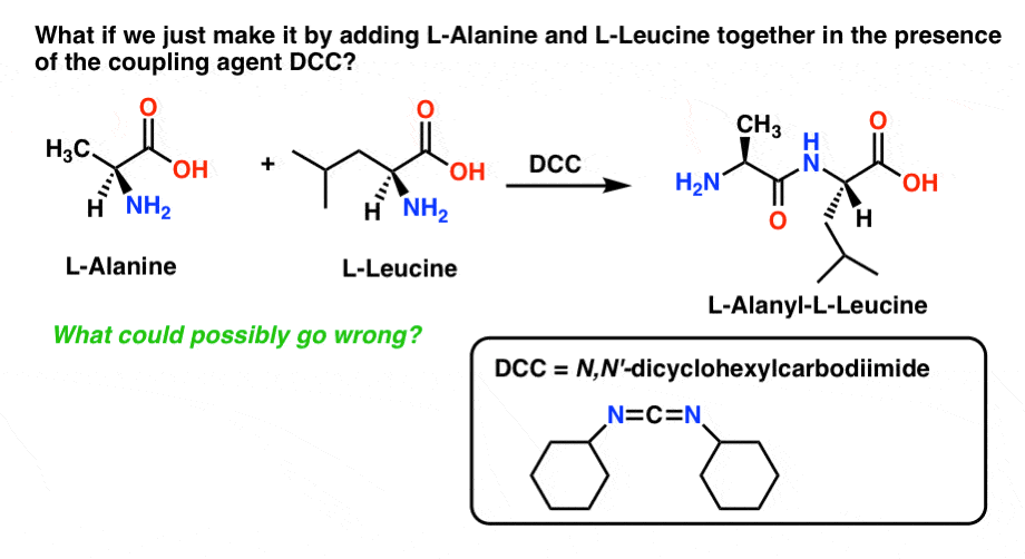 problem with making dipeptide without using protecting groups is that we get mixtures