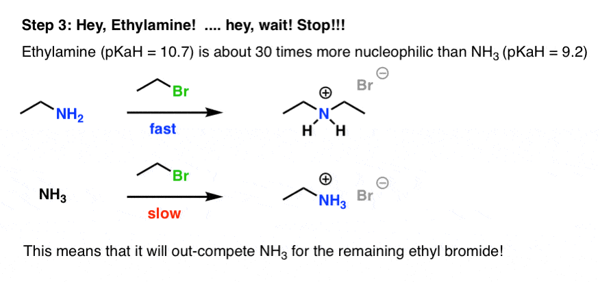 primary amine out competes ammonia for alkyl halide giving secondary amine