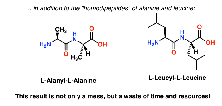 dipeptide synthesis problem homodipeptides alanine leucine