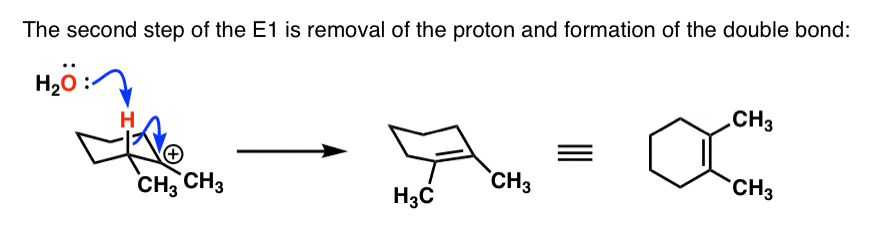 e1 deprotonation and formation of double bond zaitsev in cyclohexane ring