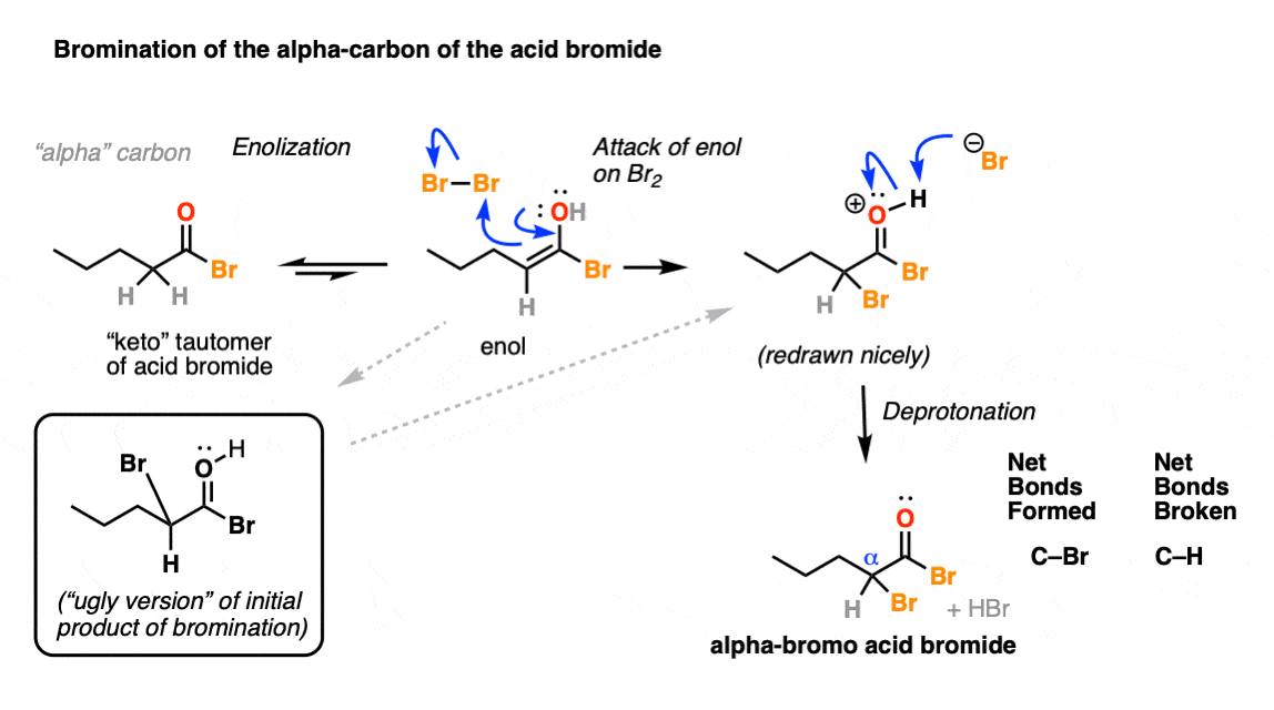 mechanism for bromination of enol using br2 to give alpha bromo acid bromide