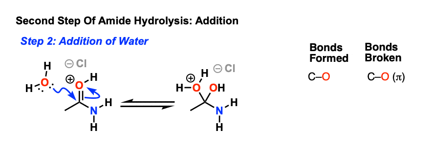 second-step-of-acidic-hydrolysis-of-amides-is-addition-of-water-to-protonated-carbonyl