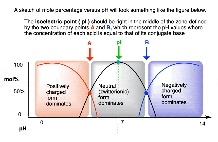 sketch of mole percentage versus pH for 3 forms of amino acid