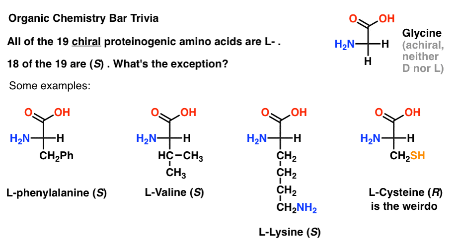 cysteine-is-the-only-chiral-proteinogenic-amino-acid-that-is-s-because-of-sulfur-group