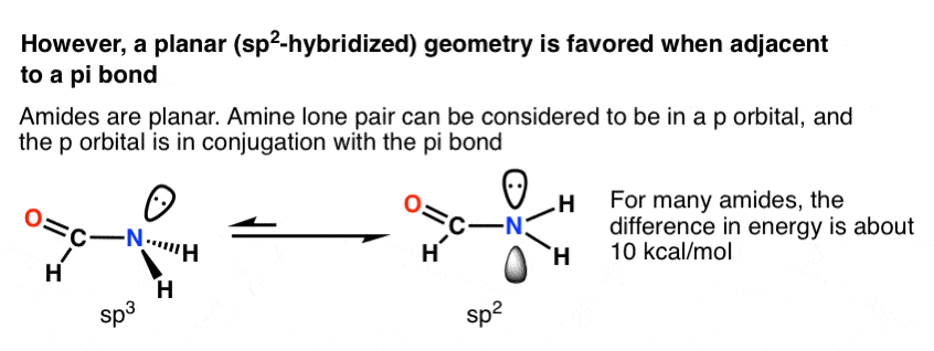 why-sp2-hybridization-favored-for-amide-nitrogens-planarity-allows-delocalization-of-electrons-worth-10-kcal-mol