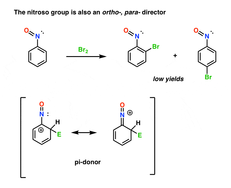 nitroso is another example of deactivating ortho para director