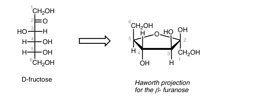 practice-convert-fructose-fischer-to-haworth-projection