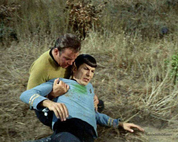 spock has green blood vulcan blood what could cause the color just kidding