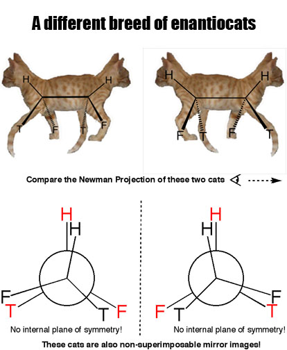 2--enantiocats