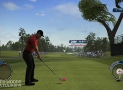 Tiger Woods PGA Tour 14 (Xbox 360)