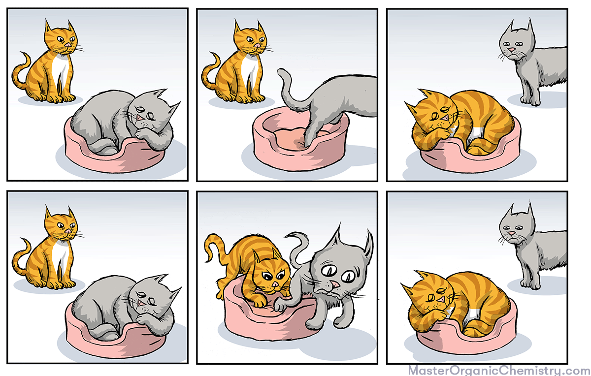 -using cats to compare sn1 and sn2 reactions master organic chemistry