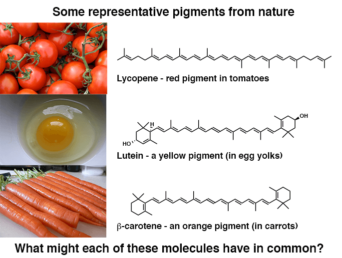 representative pigments from nature lycopene tomatoes lutein yellow egg yolks carotene orange carros each are highly conjugated molecules