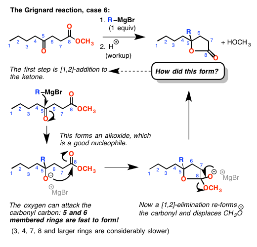 6-grignard